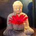 Buddha With Gerber Daisy